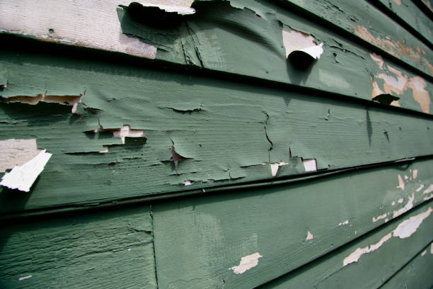 Affordable Siding Repair and Maintenance Services in Bolinas, CA